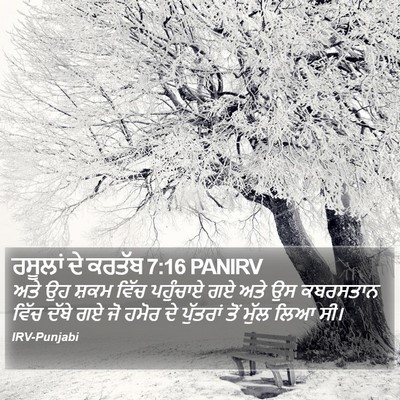 ਰਸੂਲਾਂ ਦੇ ਕਰਤੱਬ 7:16 PANIRV Bible Verse Image