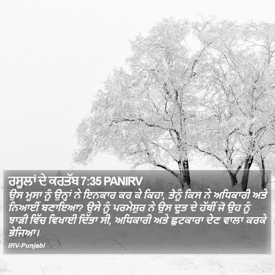 ਰਸੂਲਾਂ ਦੇ ਕਰਤੱਬ 7:35 PANIRV Bible Verse Image