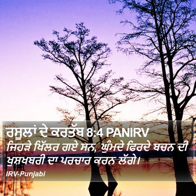 ਰਸੂਲਾਂ ਦੇ ਕਰਤੱਬ 8:4 PANIRV Bible Verse Image