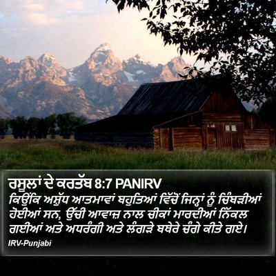 ਰਸੂਲਾਂ ਦੇ ਕਰਤੱਬ 8:7 PANIRV Bible Verse Image