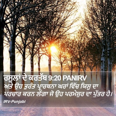 ਰਸੂਲਾਂ ਦੇ ਕਰਤੱਬ 9:20 PANIRV Bible Verse Image