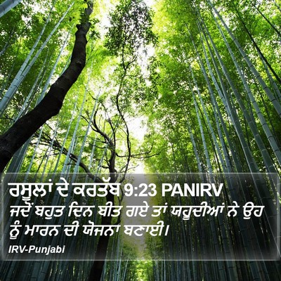 ਰਸੂਲਾਂ ਦੇ ਕਰਤੱਬ 9:23 PANIRV Bible Verse Image