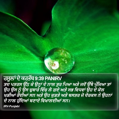 ਰਸੂਲਾਂ ਦੇ ਕਰਤੱਬ 9:39 PANIRV Bible Verse Image