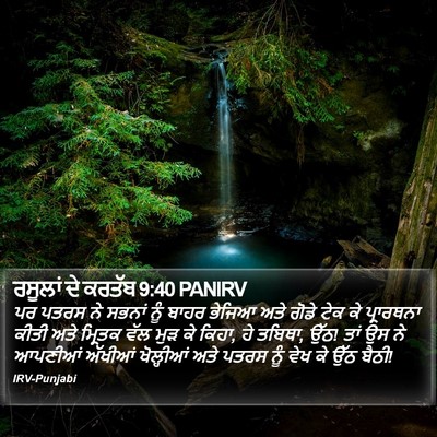 ਰਸੂਲਾਂ ਦੇ ਕਰਤੱਬ 9:40 PANIRV Bible Verse Image