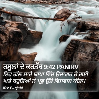 ਰਸੂਲਾਂ ਦੇ ਕਰਤੱਬ 9:42 PANIRV Bible Verse Image