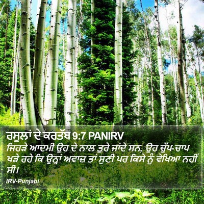 ਰਸੂਲਾਂ ਦੇ ਕਰਤੱਬ 9:7 PANIRV Bible Verse Image