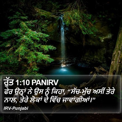 ਰੁੱਤ 1:10 PANIRV Bible Verse Image