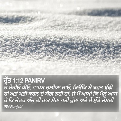 ਰੁੱਤ 1:12 PANIRV Bible Verse Image