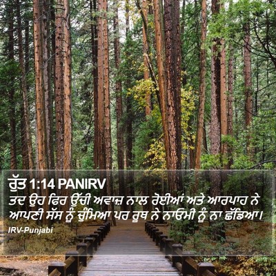 ਰੁੱਤ 1:14 PANIRV Bible Verse Image