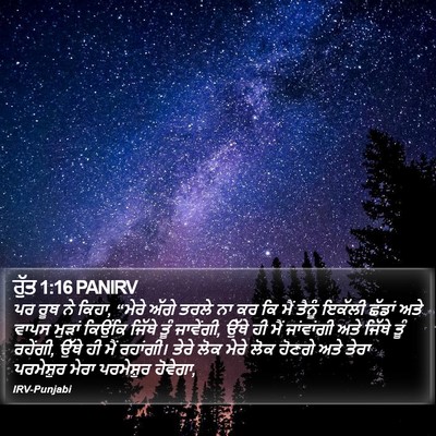 ਰੁੱਤ 1:16 PANIRV Bible Verse Image