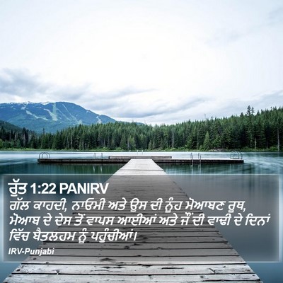 ਰੁੱਤ 1:22 PANIRV Bible Verse Image