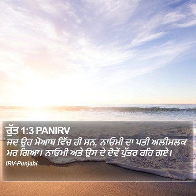 ਰੁੱਤ 1:3 PANIRV Bible Verse Image