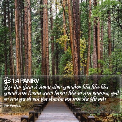 ਰੁੱਤ 1:4 PANIRV Bible Verse Image
