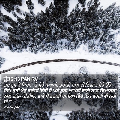 ਰੁੱਤ 2:13 PANIRV Bible Verse Image