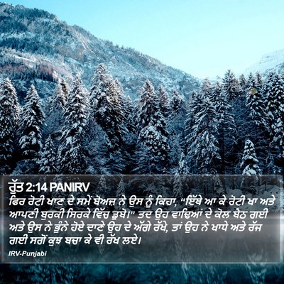 ਰੁੱਤ 2:14 PANIRV Bible Verse Image