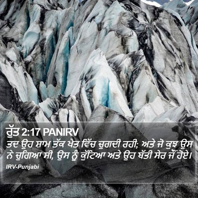 ਰੁੱਤ 2:17 PANIRV Bible Verse Image