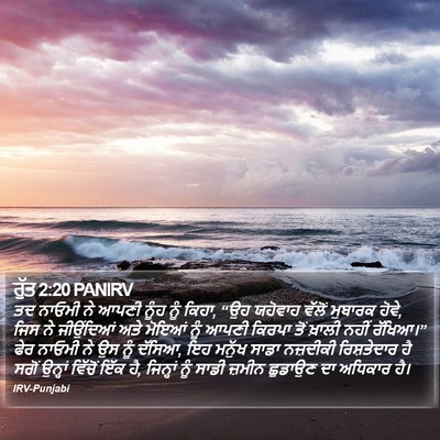 ਰੁੱਤ 2:20 PANIRV Bible Verse Image