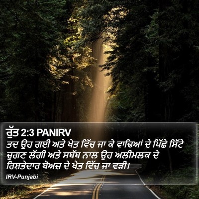 ਰੁੱਤ 2:3 PANIRV Bible Verse Image