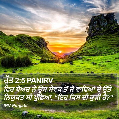 ਰੁੱਤ 2:5 PANIRV Bible Verse Image