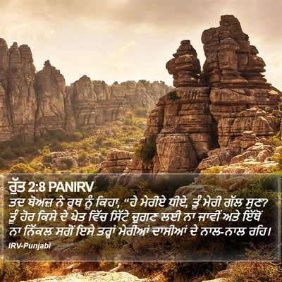 ਰੁੱਤ 2:8 PANIRV Bible Verse Image