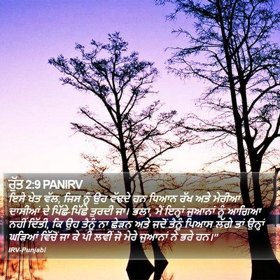 ਰੁੱਤ 2:9 PANIRV Bible Verse Image