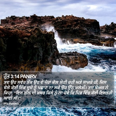 ਰੁੱਤ 3:14 PANIRV Bible Verse Image