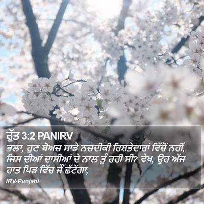 ਰੁੱਤ 3:2 PANIRV Bible Verse Image