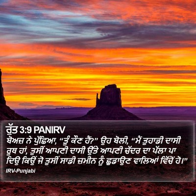 ਰੁੱਤ 3:9 PANIRV Bible Verse Image