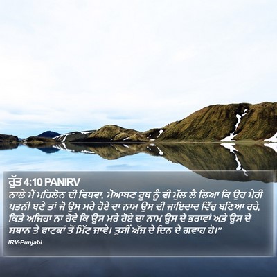 ਰੁੱਤ 4:10 PANIRV Bible Verse Image
