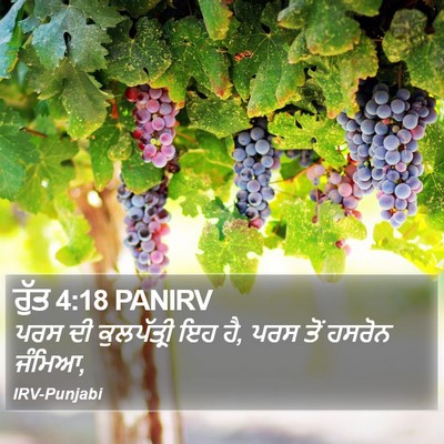 ਰੁੱਤ 4:18 PANIRV Bible Verse Image