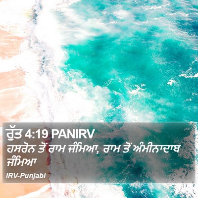 ਰੁੱਤ 4:19 PANIRV Bible Verse Image