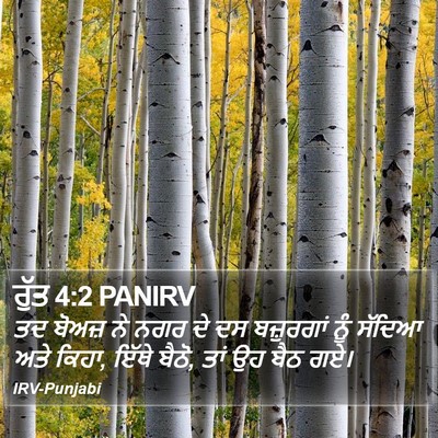 ਰੁੱਤ 4:2 PANIRV Bible Verse Image