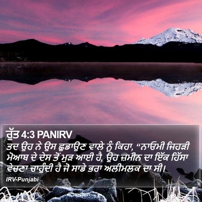 ਰੁੱਤ 4:3 PANIRV Bible Verse Image