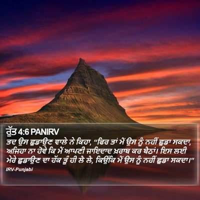ਰੁੱਤ 4:6 PANIRV Bible Verse Image
