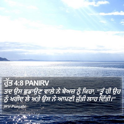 ਰੁੱਤ 4:8 PANIRV Bible Verse Image