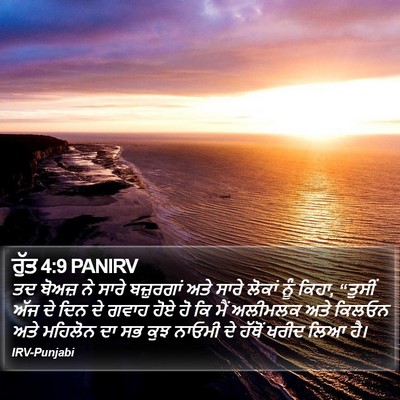 ਰੁੱਤ 4:9 PANIRV Bible Verse Image
