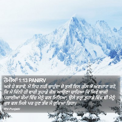 ਰੋਮੀਆਂ 1:13 PANIRV Bible Verse Image