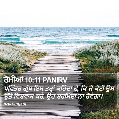 ਰੋਮੀਆਂ 10:11 PANIRV Bible Verse Image