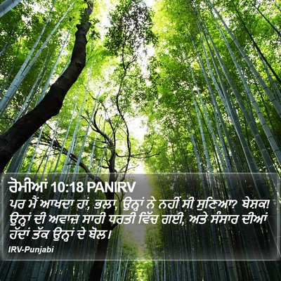 ਰੋਮੀਆਂ 10:18 PANIRV Bible Verse Image