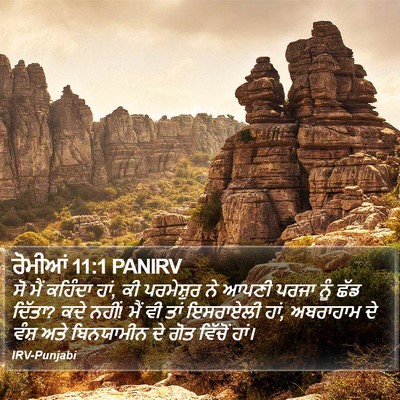 ਰੋਮੀਆਂ 11:1 PANIRV Bible Verse Image