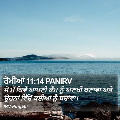 ਰੋਮੀਆਂ 11:14 PANIRV Bible Verse Image