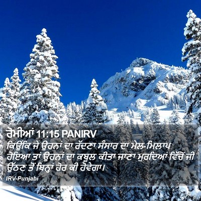 ਰੋਮੀਆਂ 11:15 PANIRV Bible Verse Image