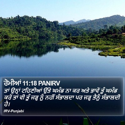 ਰੋਮੀਆਂ 11:18 PANIRV Bible Verse Image