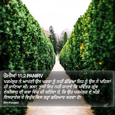 ਰੋਮੀਆਂ 11:2 PANIRV Bible Verse Image