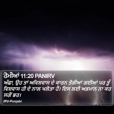 ਰੋਮੀਆਂ 11:20 PANIRV Bible Verse Image