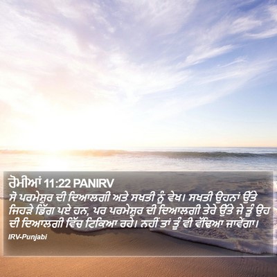 ਰੋਮੀਆਂ 11:22 PANIRV Bible Verse Image