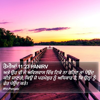 ਰੋਮੀਆਂ 11:23 PANIRV Bible Verse Image