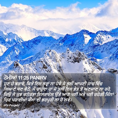 ਰੋਮੀਆਂ 11:25 PANIRV Bible Verse Image
