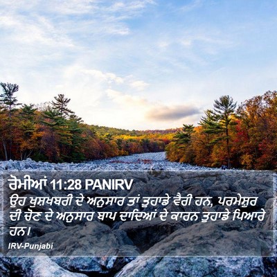 ਰੋਮੀਆਂ 11:28 PANIRV Bible Verse Image