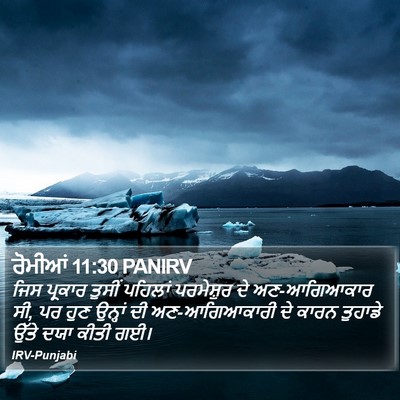 ਰੋਮੀਆਂ 11:30 PANIRV Bible Verse Image